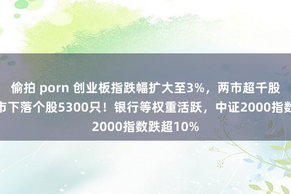 偷拍 porn 创业板指跌幅扩大至3%，两市超千股跌停，三市下落个股5300只！银行等权重活跃，中证2000指数跌超10%