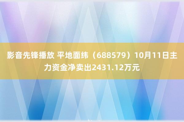 影音先锋播放 平地面纬（688579）10月11日主力资金净卖出2431.12万元