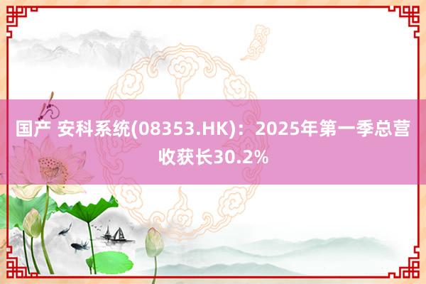 国产 安科系统(08353.HK)：2025年第一季总营收获长30.2%