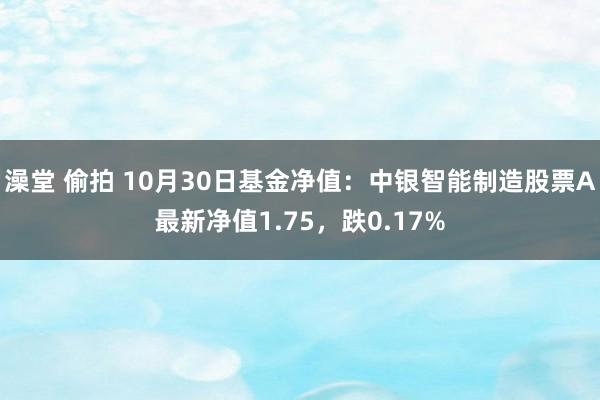 澡堂 偷拍 10月30日基金净值：中银智能制造股票A最新净值1.75，跌0.17%