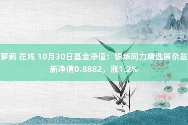 萝莉 在线 10月30日基金净值：银华同力精选羼杂最新净值0.8882，涨1.2%