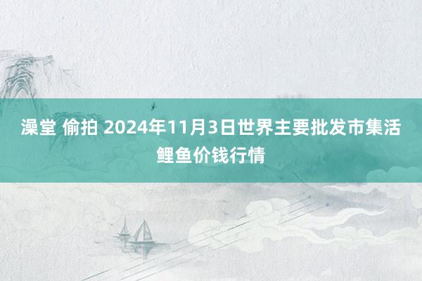 澡堂 偷拍 2024年11月3日世界主要批发市集活鲤鱼价钱行情