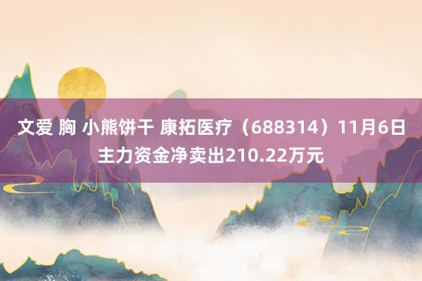 文爱 胸 小熊饼干 康拓医疗（688314）11月6日主力资