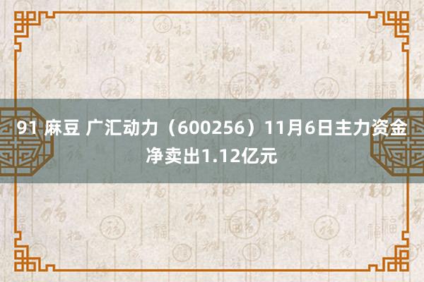 91 麻豆 广汇动力（600256）11月6日主力资金净卖出