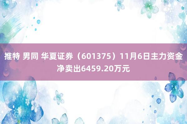 推特 男同 华夏证券（601375）11月6日主力资金净卖出