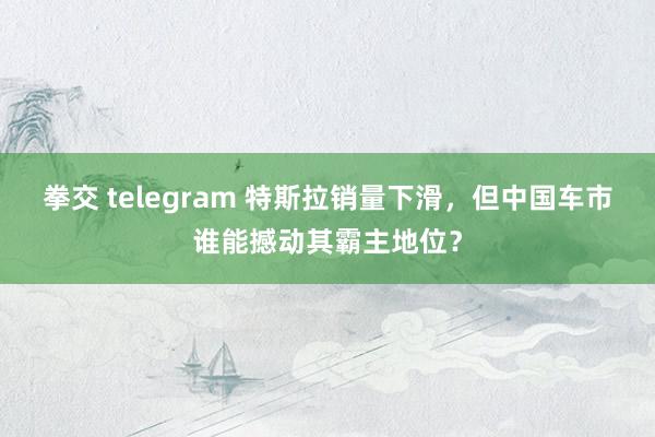 拳交 telegram 特斯拉销量下滑，但中国车市谁能撼动其霸主地位？