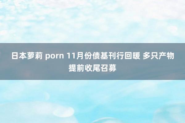 日本萝莉 porn 11月份债基刊行回暖 多只产物提前收尾召募