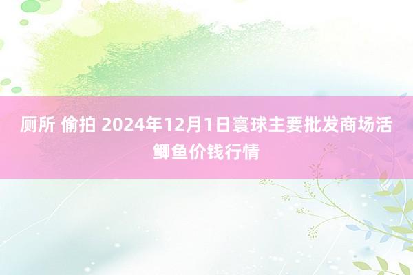 厕所 偷拍 2024年12月1日寰球主要批发商场活鲫鱼价钱行情