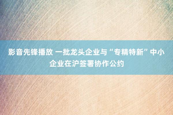 影音先锋播放 一批龙头企业与“专精特新”中小企业在沪签署协作公约