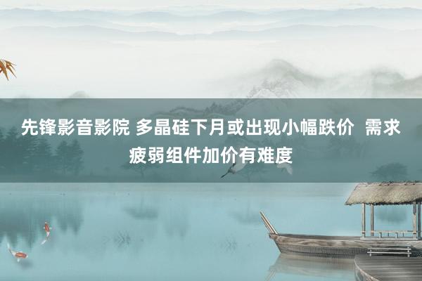 先锋影音影院 多晶硅下月或出现小幅跌价  需求疲弱组件加价有难度