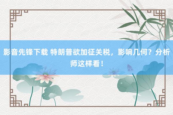 影音先锋下载 特朗普欲加征关税，影响几何？分析师这样看！