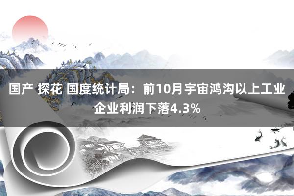 国产 探花 国度统计局：前10月宇宙鸿沟以上工业企业利润下落4.3%