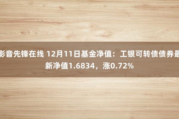 影音先锋在线 12月11日基金净值：工银可转债债券最新净值1.6834，涨0.72%