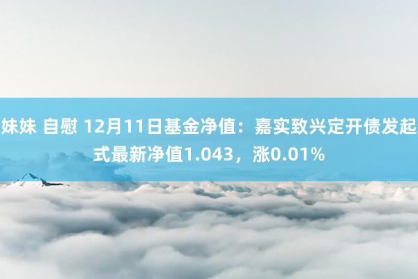 妹妹 自慰 12月11日基金净值：嘉实致兴定开债发起式最新净值1.043，涨0.01%