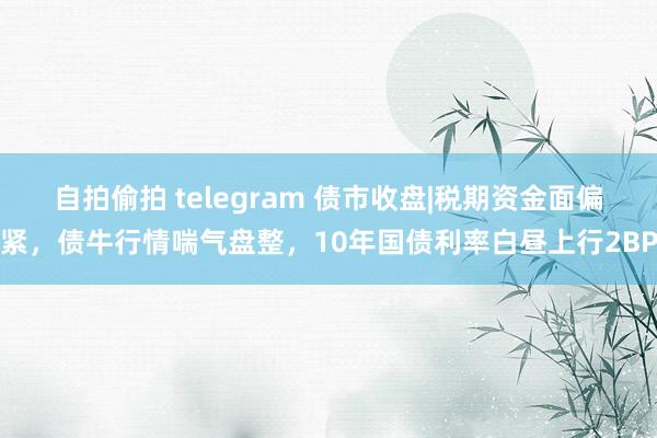 自拍偷拍 telegram 债市收盘|税期资金面偏紧，债牛行情喘气盘整，10年国债利率白昼上行2BP