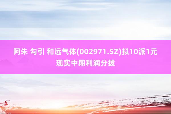 阿朱 勾引 和远气体(002971.SZ)拟10派1元现实中期利润分拨