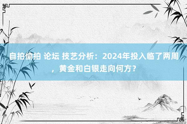 自拍偷拍 论坛 技艺分析：2024年投入临了两周，黄金和白银走向何方？