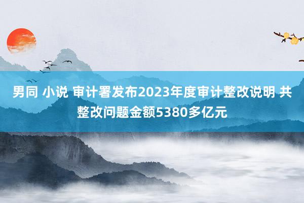 男同 小说 审计署发布2023年度审计整改说明 共整改问题金额5380多亿元