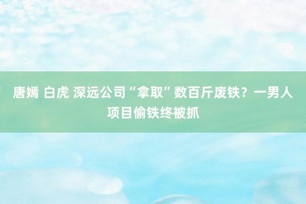 唐嫣 白虎 深远公司“拿取”数百斤废铁？一男人项目偷铁终被抓