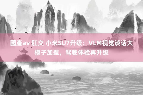 國產av 肛交 小米SU7升级：VLM视觉谈话大模子加捏，驾驶体验再升级