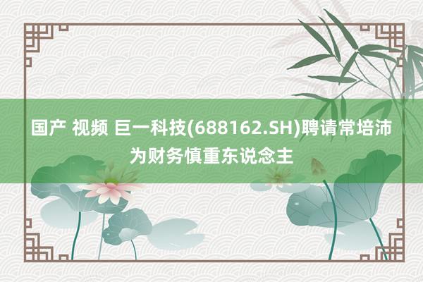 国产 视频 巨一科技(688162.SH)聘请常培沛为财务慎