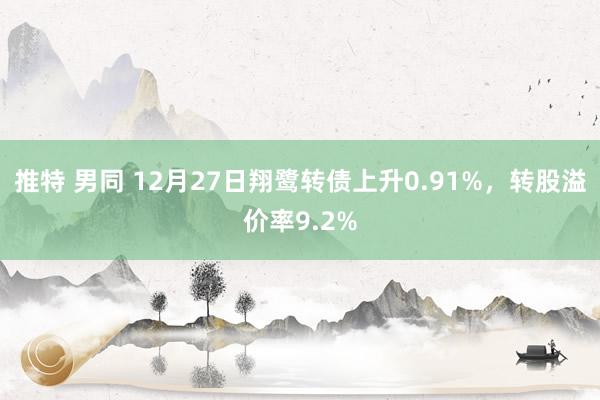 推特 男同 12月27日翔鹭转债上升0.91%，转股溢价率9