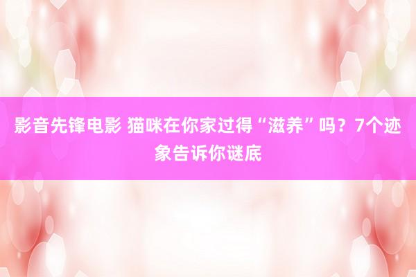 影音先锋电影 猫咪在你家过得“滋养”吗？7个迹象告诉你谜底