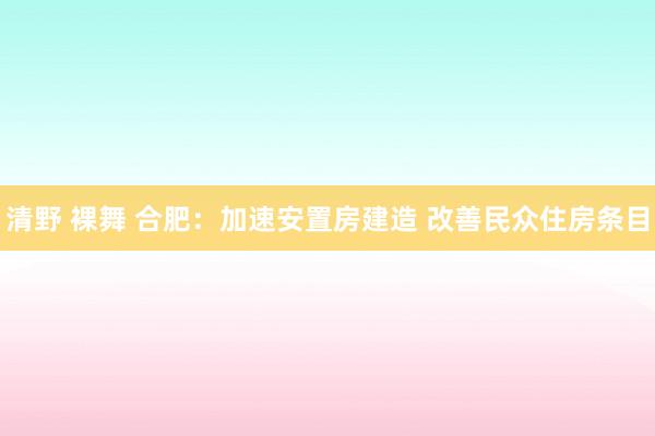 清野 裸舞 合肥：加速安置房建造 改善民众住房条目