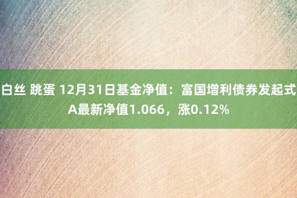 白丝 跳蛋 12月31日基金净值：富国增利债券发起式A最新净值1.066，涨0.12%