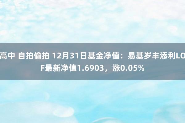 高中 自拍偷拍 12月31日基金净值：易基岁丰添利LOF最新净值1.6903，涨0.05%