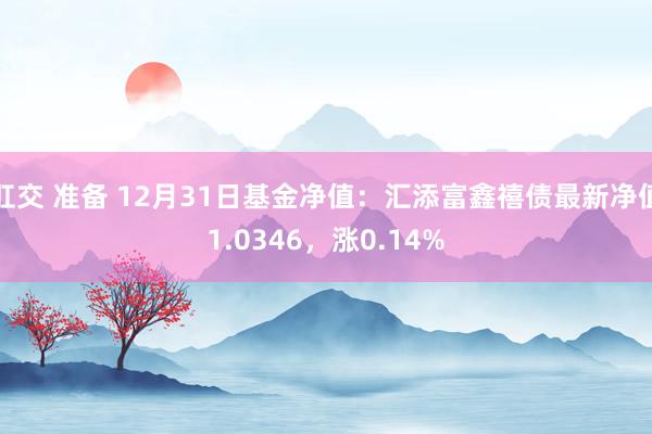 肛交 准备 12月31日基金净值：汇添富鑫禧债最新净值1.0346，涨0.14%