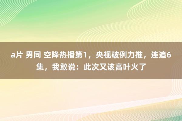 a片 男同 空降热播第1，央视破例力推，连追6集，我敢说：此次又该高叶火了