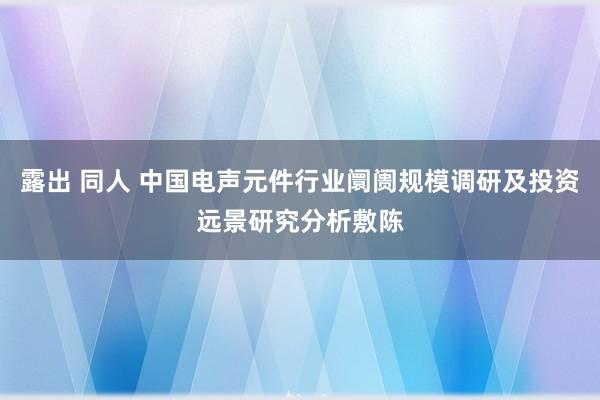 露出 同人 中国电声元件行业阛阓规模调研及投资远景研究分析敷