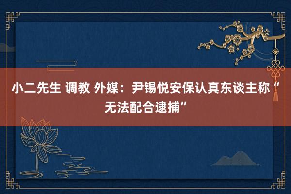 小二先生 调教 外媒：尹锡悦安保认真东谈主称“无法配合逮捕”