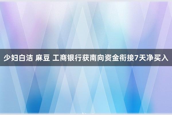 少妇白洁 麻豆 工商银行获南向资金衔接7天净买入