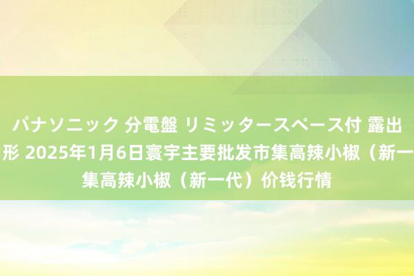 パナソニック 分電盤 リミッタースペース付 露出・半埋込両用