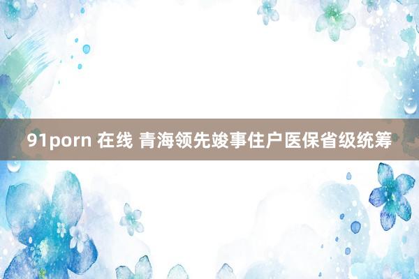 91porn 在线 青海领先竣事住户医保省级统筹