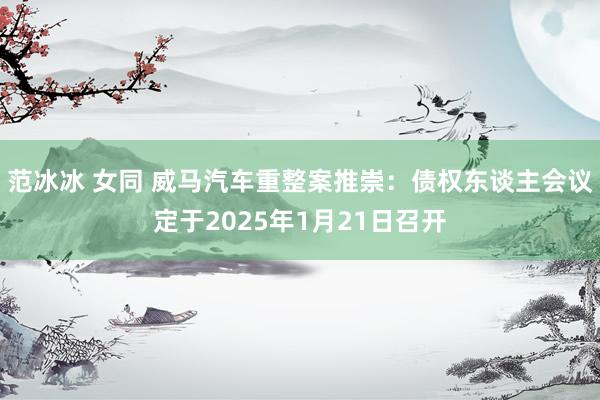 范冰冰 女同 威马汽车重整案推崇：债权东谈主会议定于2025