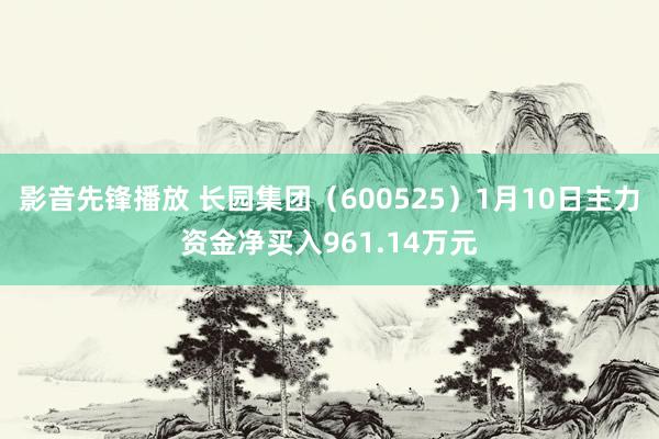 影音先锋播放 长园集团（600525）1月10日主力资金净买入961.14万元