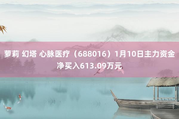 萝莉 幻塔 心脉医疗（688016）1月10日主力资金净买入613.09万元