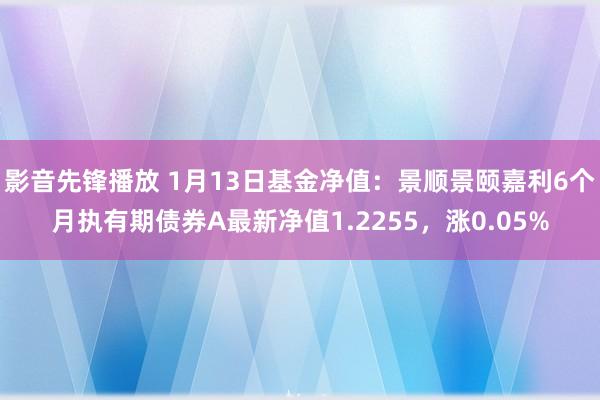 影音先锋播放 1月13日基金净值：景顺景颐嘉利6个月执有期债