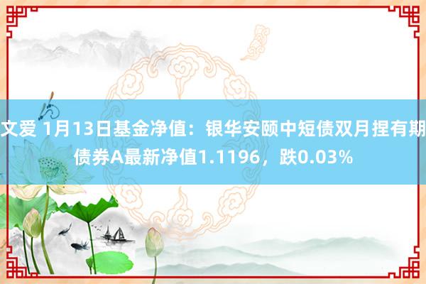 文爱 1月13日基金净值：银华安颐中短债双月捏有期债券A最新