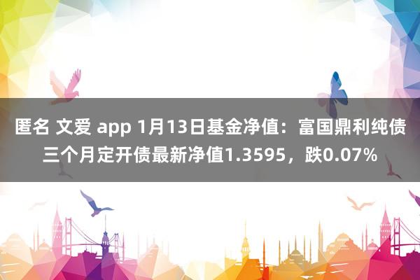 匿名 文爱 app 1月13日基金净值：富国鼎利纯债三个月定