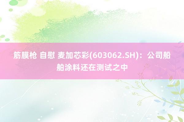 筋膜枪 自慰 麦加芯彩(603062.SH)：公司船舶涂料还